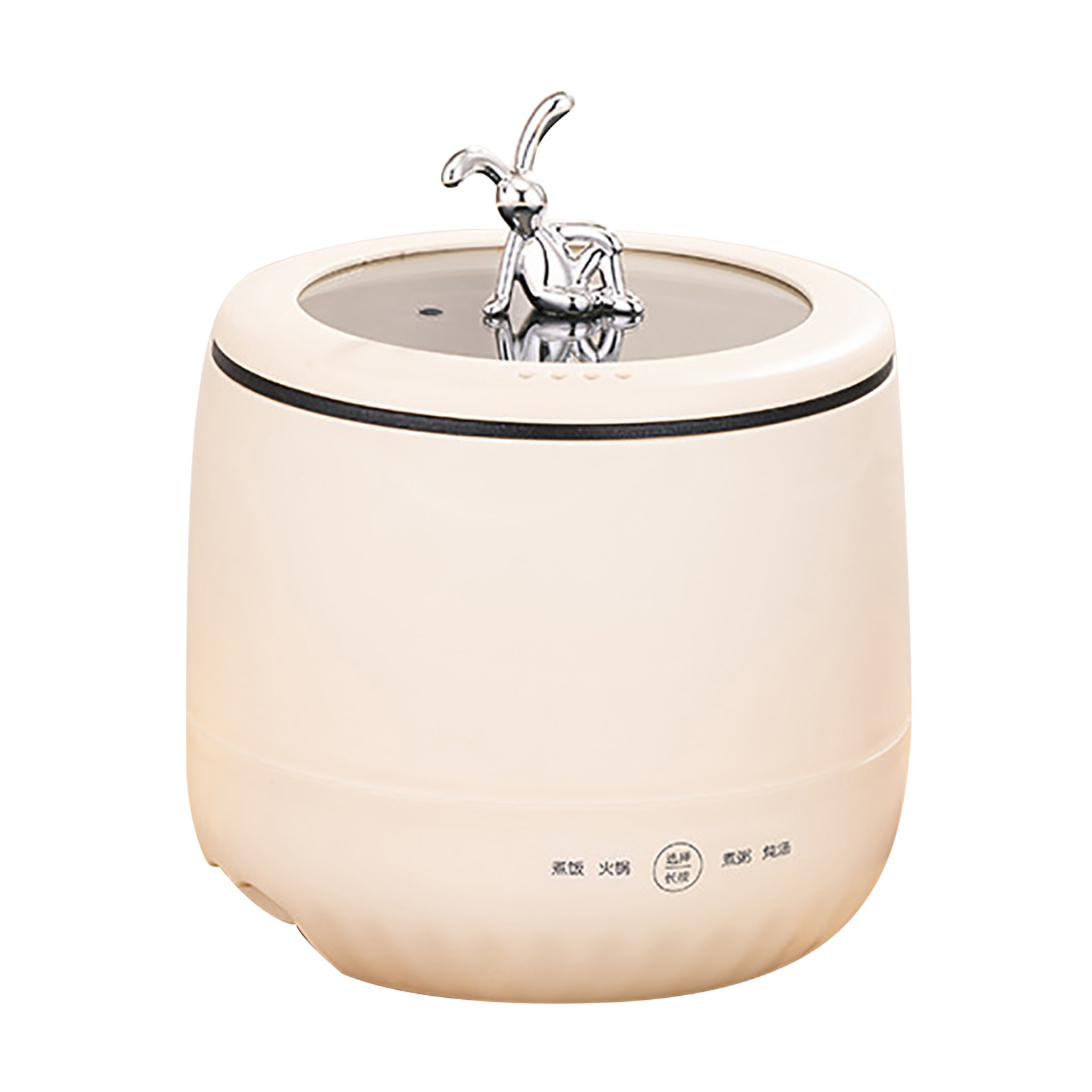 Smart Electric Mini Rice Cooke - Meal Prep Healthy review and price