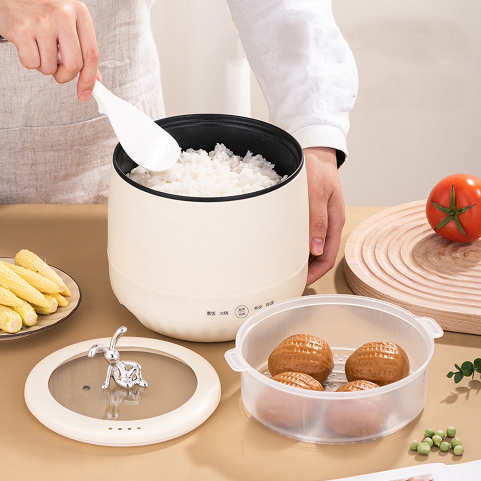 Smart Electric Mini Rice Cooke - Meal Prep Healthy review and price