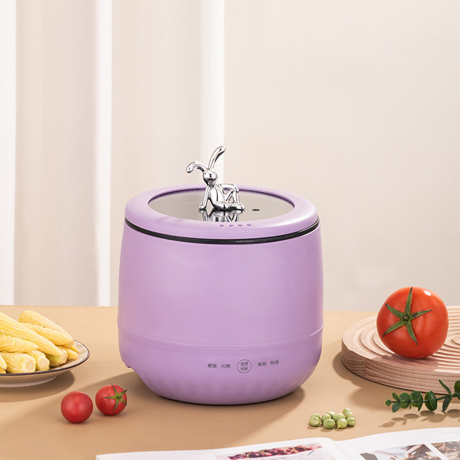 Smart Electric Mini Rice Cooke - Meal Prep Healthy review and price