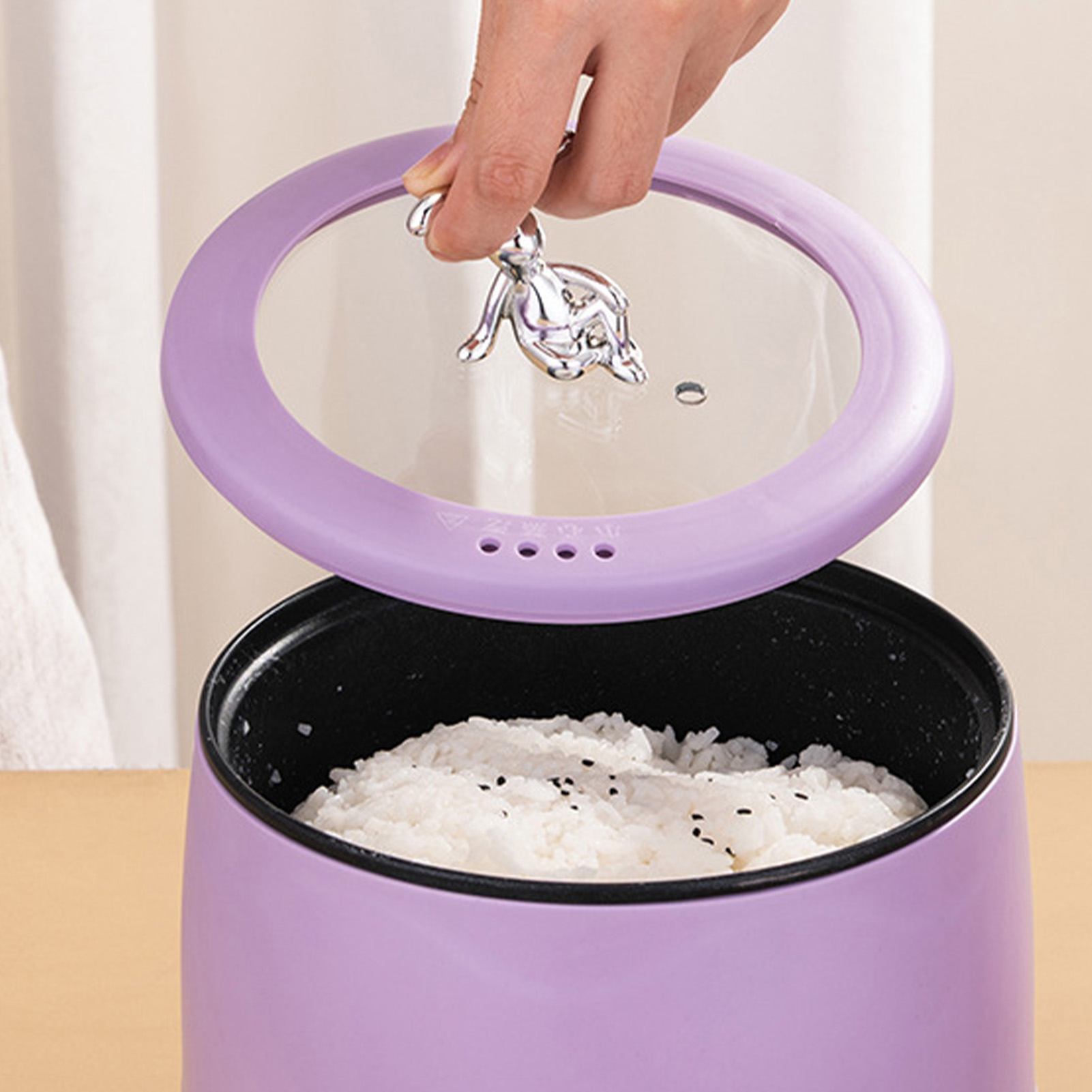 Smart Electric Mini Rice Cooke - Meal Prep Healthy review and price