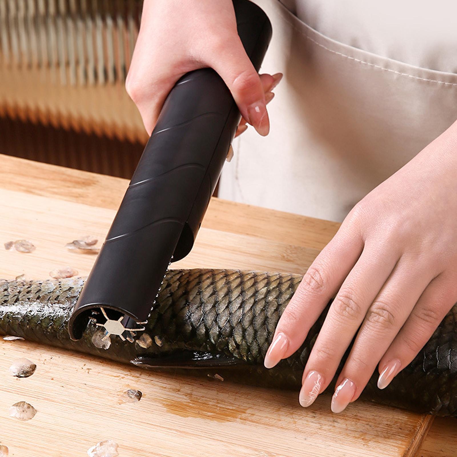 Fish Scaler Cordless Handheld  - Meal Prep Seafood review and price