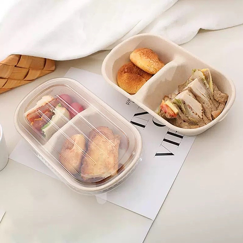10/50PCS Disposable Takeaway B - Salad Container Jar review and price