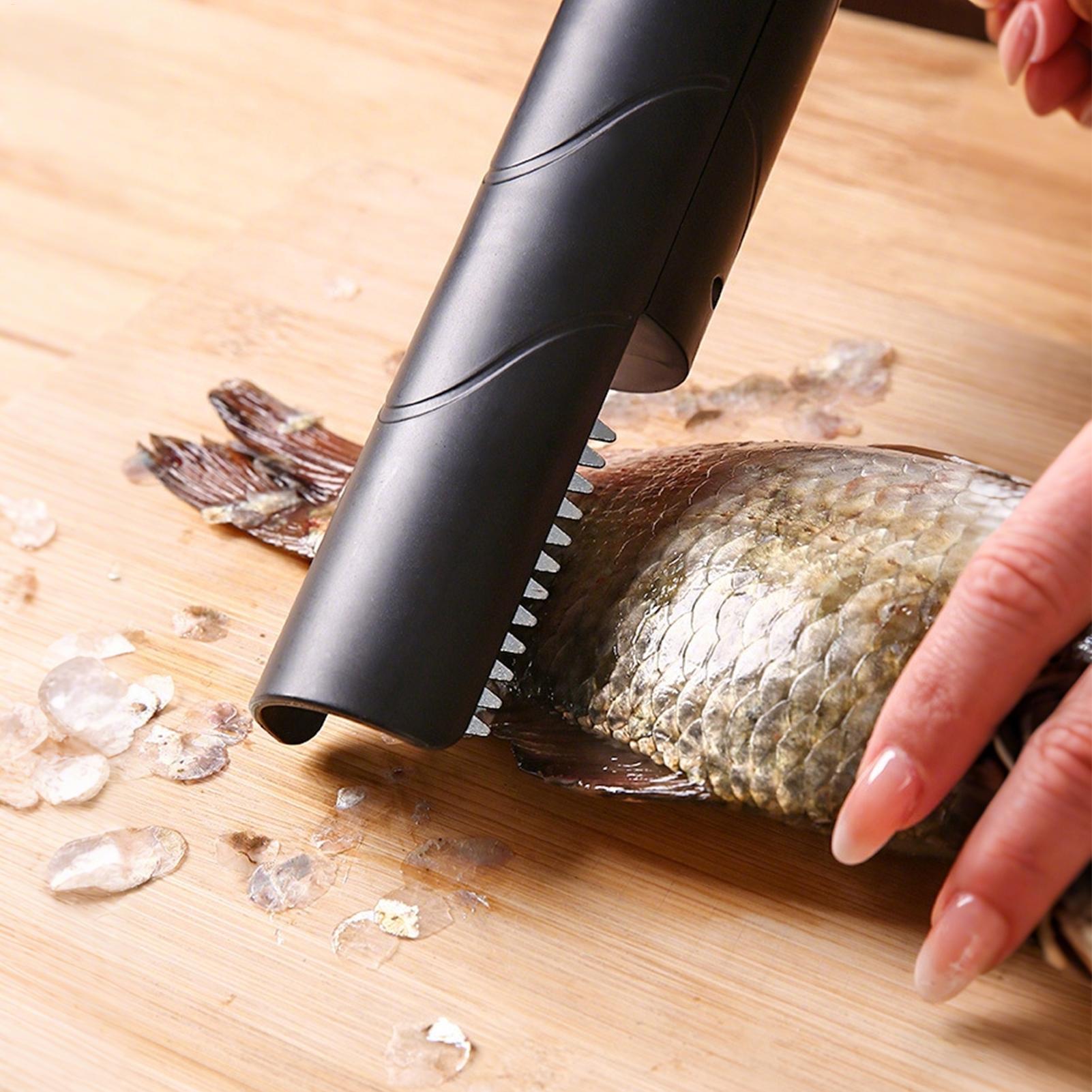 Fruit Grater Cordless Handheld - Meal Prep Seafood review and price